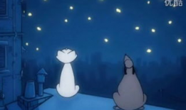 starless动漫,探索未知宇宙的奇幻冒险