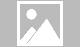 猫和老鼠视频,一场欢乐的追逐战